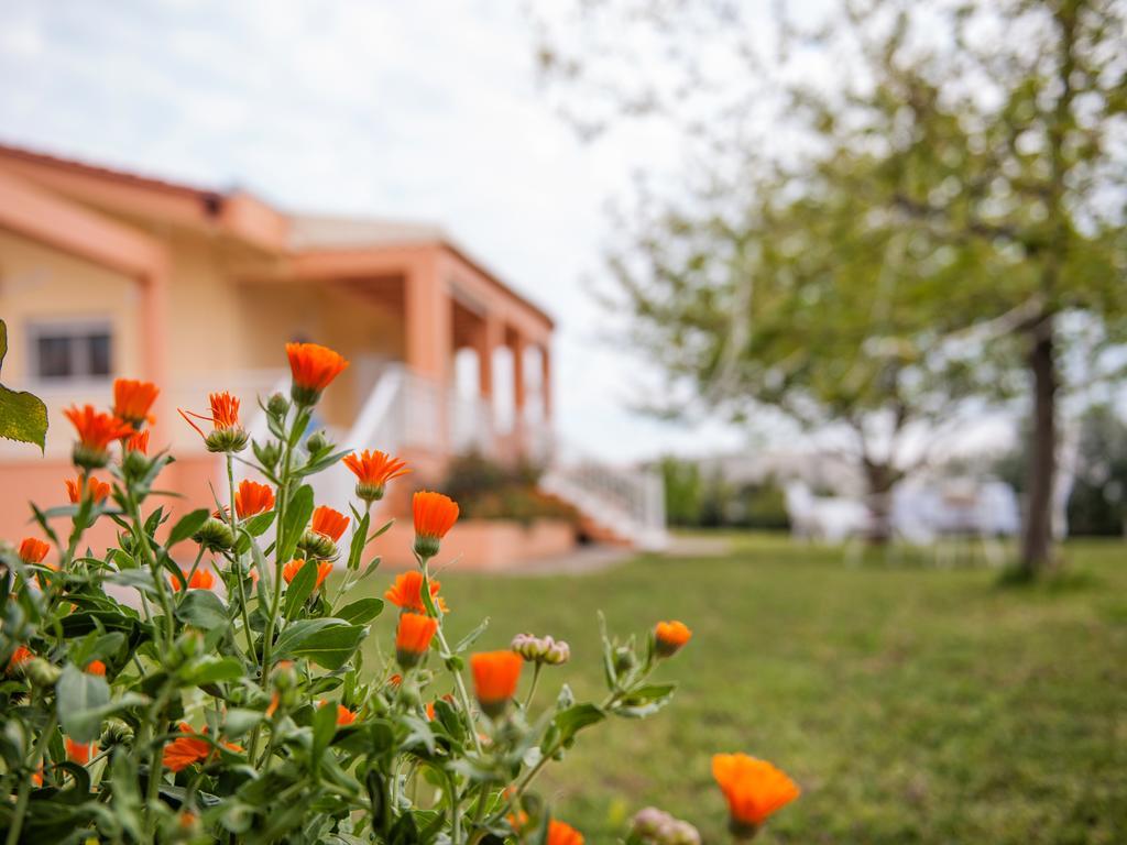 Villa Elaia Mare Fanárion Extérieur photo